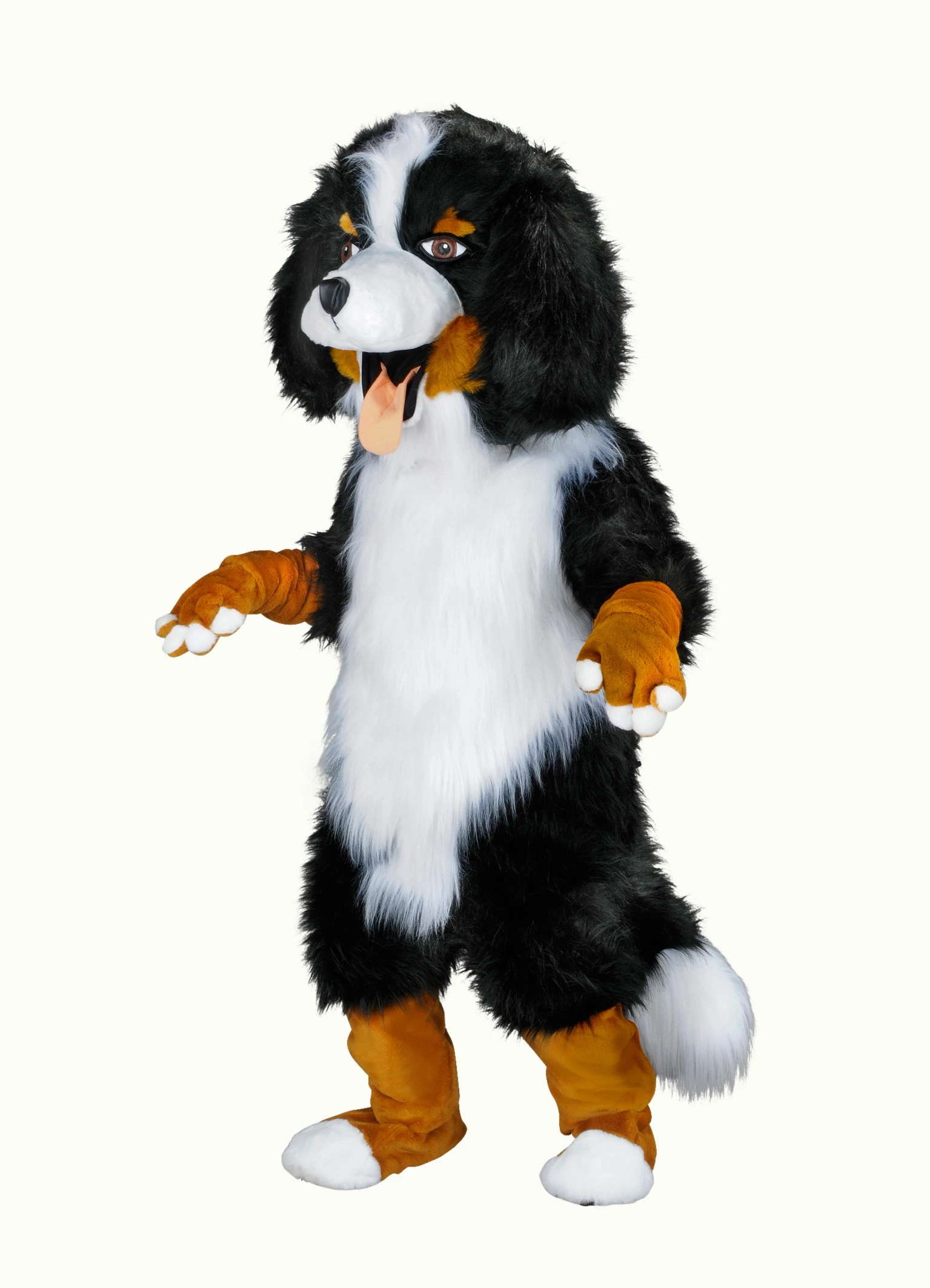 Hondenpak – Robbie De Hond