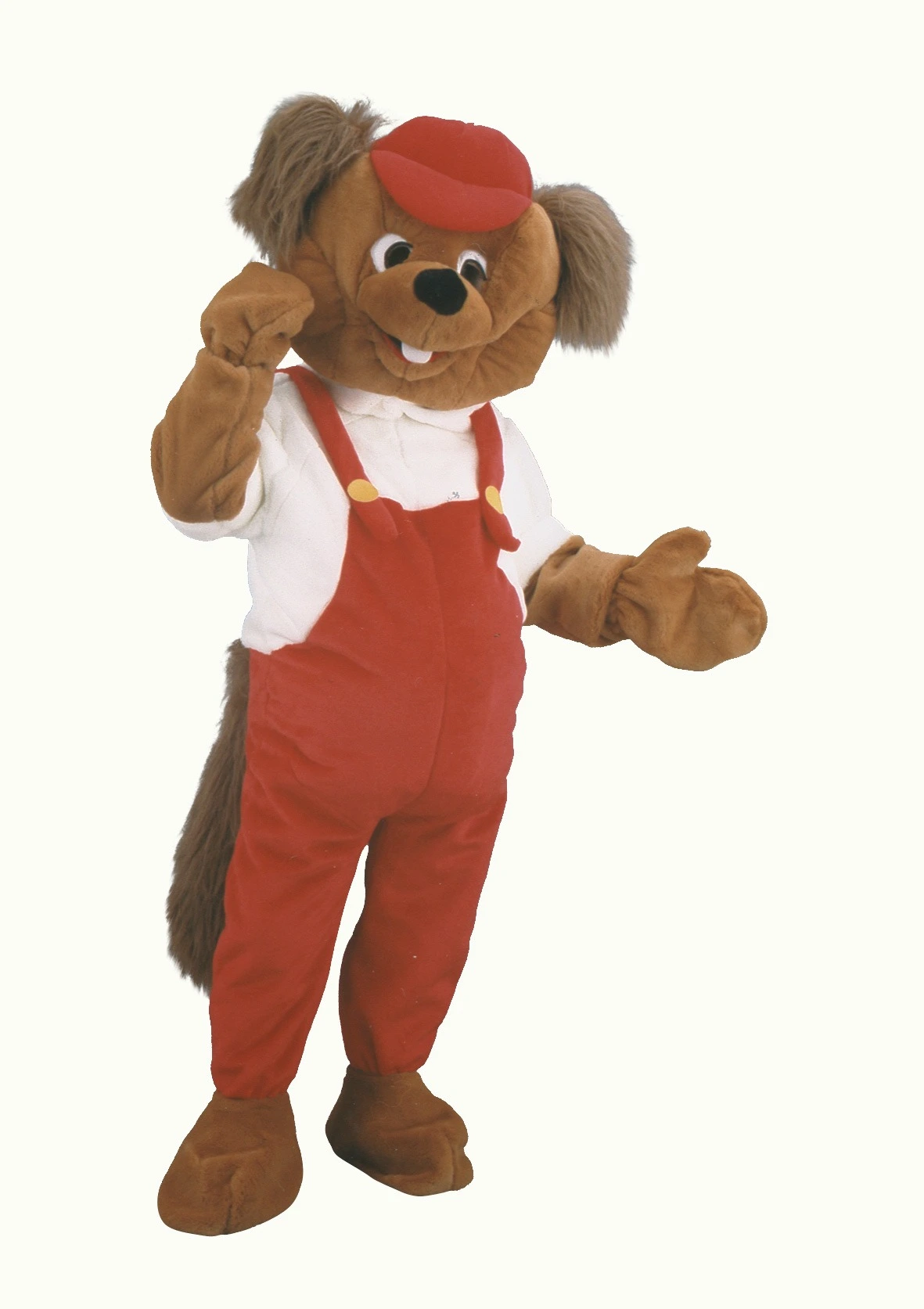 Beverpak – Bas De Bever