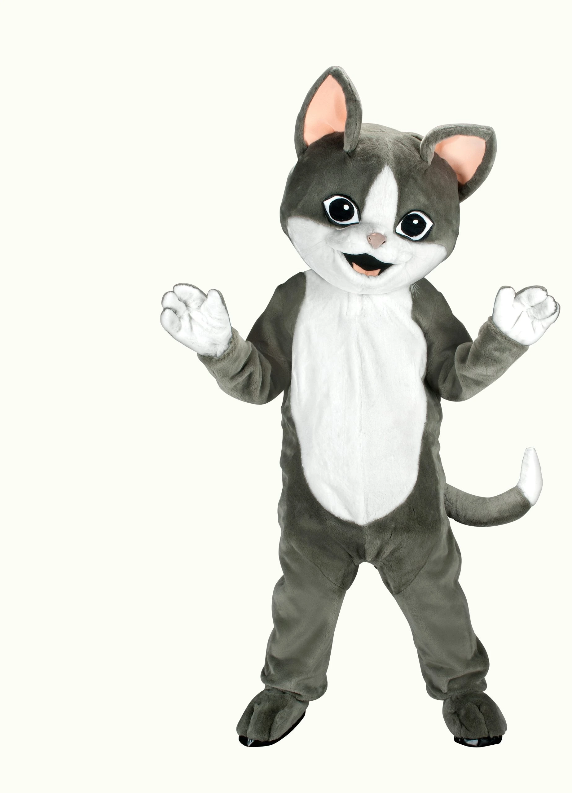 Kattenpak – Sam De Kat