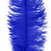 Overig Baret Struisvogelveer Blauw 60-70cm