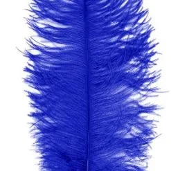 Overig Baret Struisvogelveer Blauw 60-70cm
