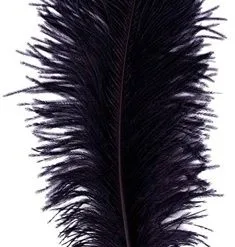 Overig Baret Struisvogelveer Zwart 60-70cm