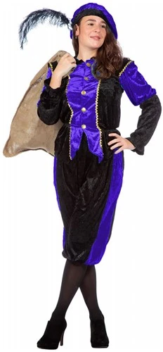 Overig Dames Budget Piet Pansamt Paars