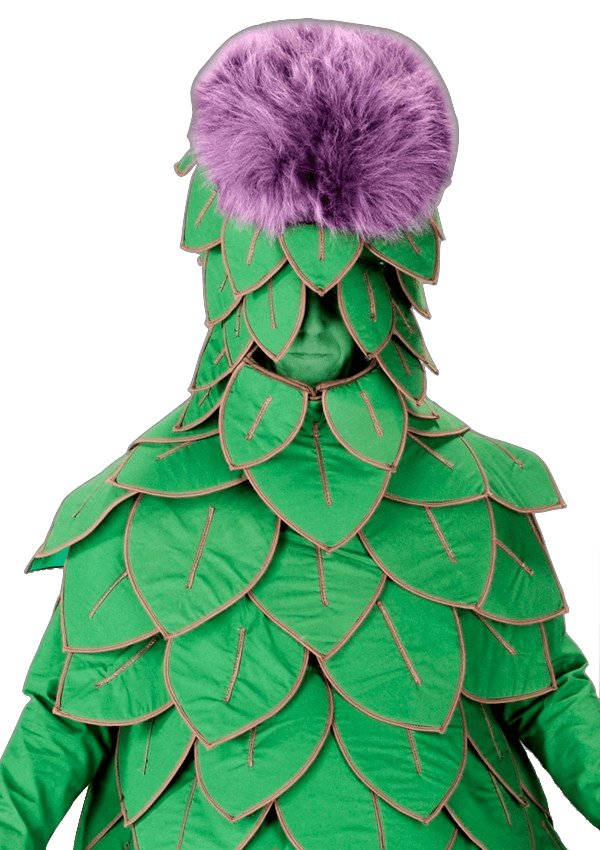 Artisjokpak – Aard De Artisjok - Image 2