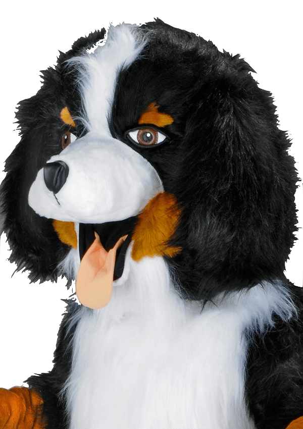 Hondenpak – Robbie De Hond - Image 2