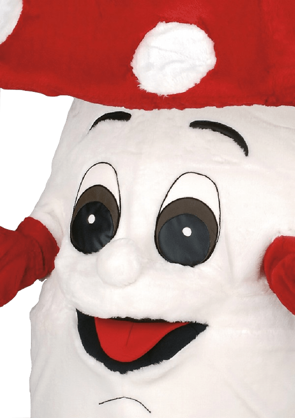 Paddenstoelenpak – Swammie De Paddestoel - Image 2