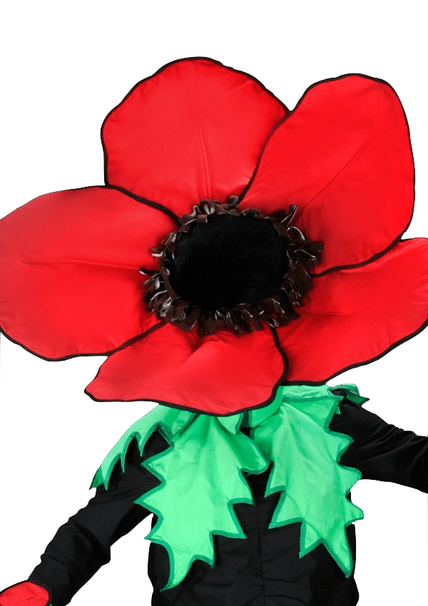 Bloemenpak – Madelief De Dansende Bloem - Image 2