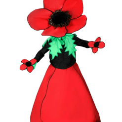 Bloemenpak – Madelief De Dansende Bloem