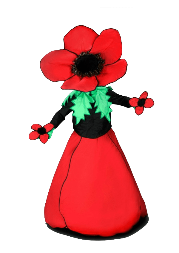 Bloemenpak – Madelief De Dansende Bloem