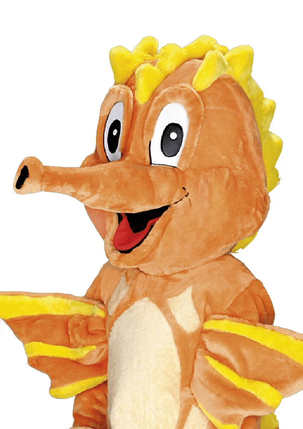 Zeepaardpak – Sheldon Het Zeepaard - Image 2