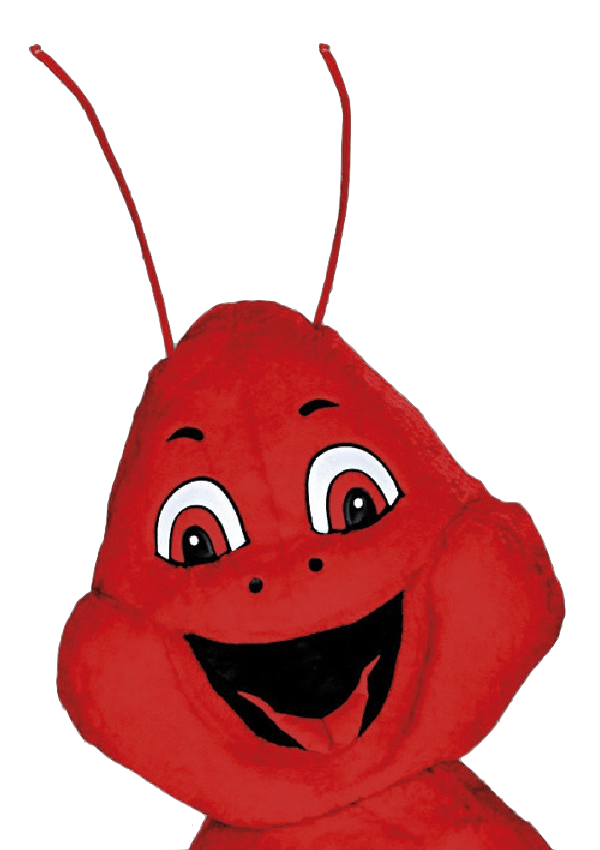 Rivierkreeftpak – Rosa De Rivierkreeft - Image 2