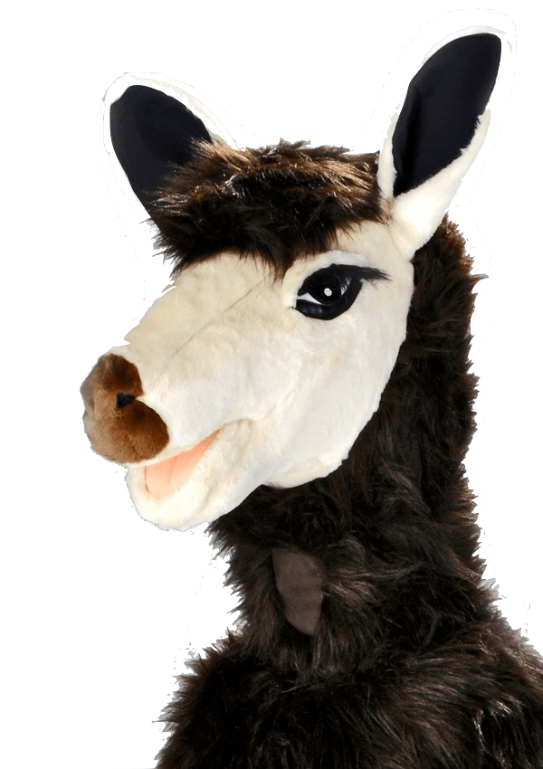 Alpacapak – Alice De Alpaca - Image 2