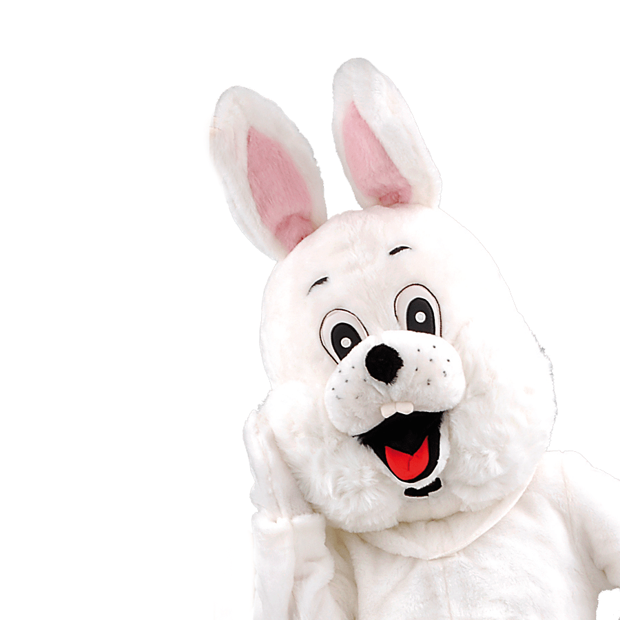 Paashaaspak – Alie De Paashaas (wit) - Image 2