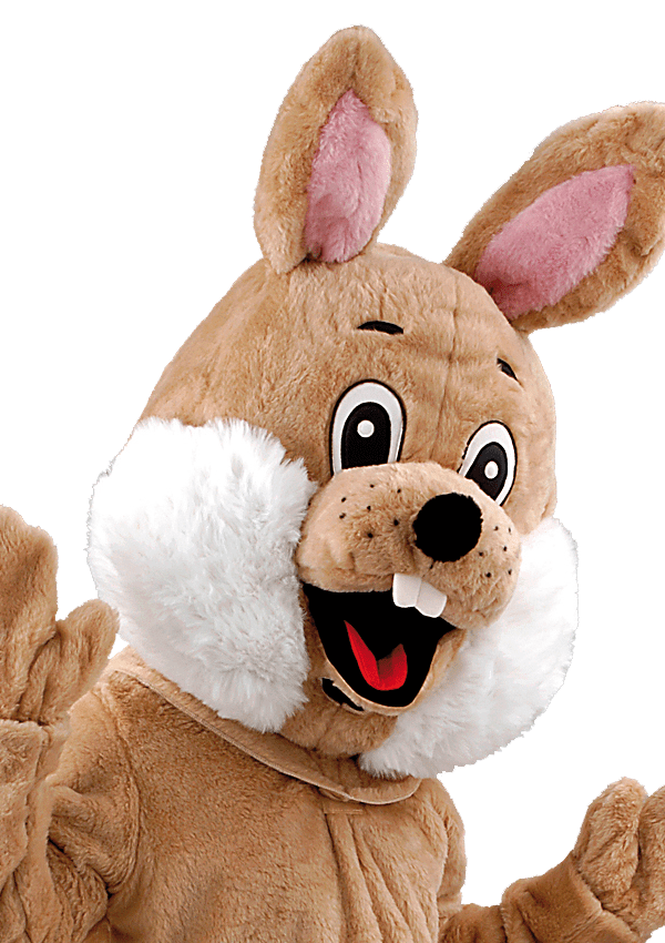 Paashaaspak – Alexander De Paashaas (bruin) - Image 2