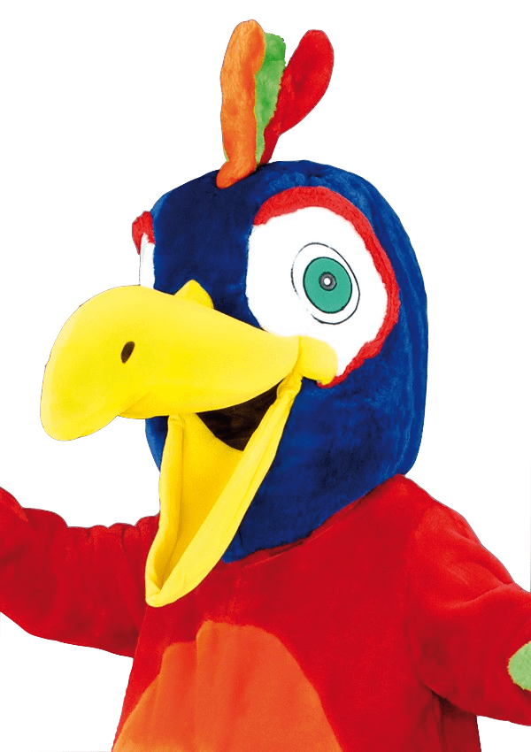 Papegaaienpak – Pluk De Papegaai - Image 2