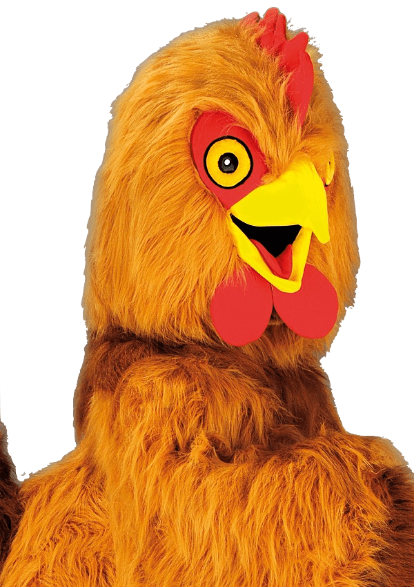 Kippenpak – Bertha De Bruine Kip - Image 2