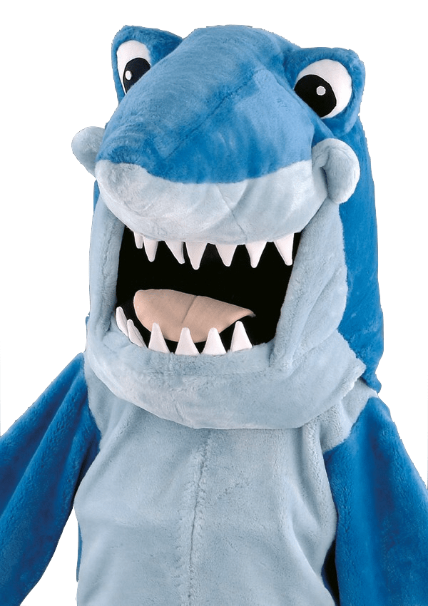 Haaienpak – Hexon De Haai - Image 2