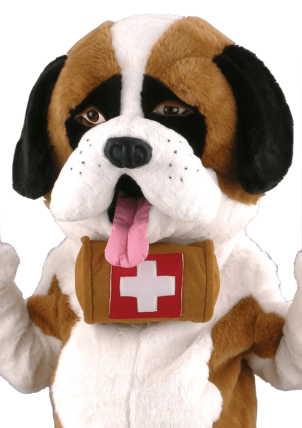 Hondenpak – Loebas De St-Bernard Hond - Image 2