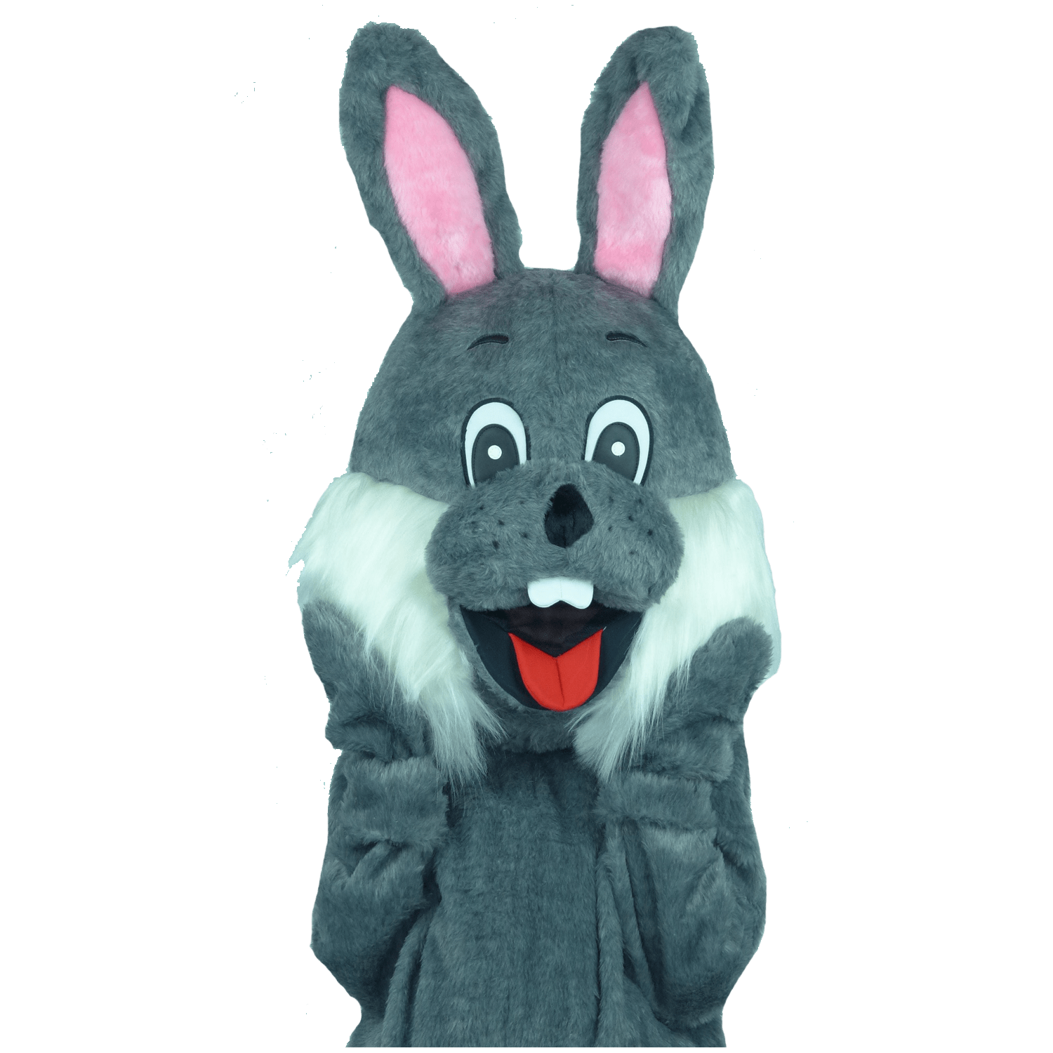 Paashaaspak – Menno De Paashaas (grijs) - Image 5