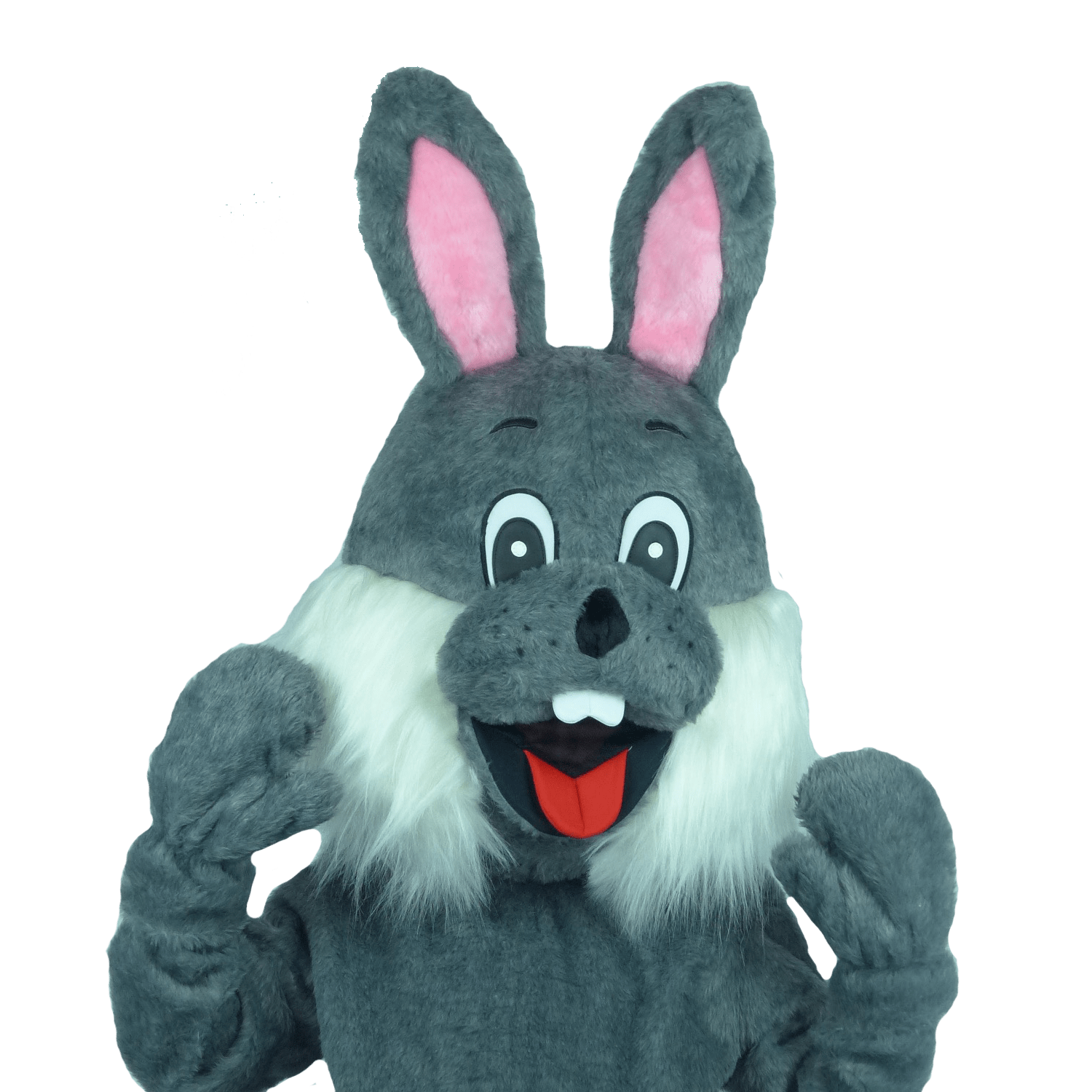 Paashaaspak – Menno De Paashaas (grijs) - Image 4