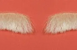 Overig Wenkbrauwen Sinterklaas Luxe Buffelhaar (yak)